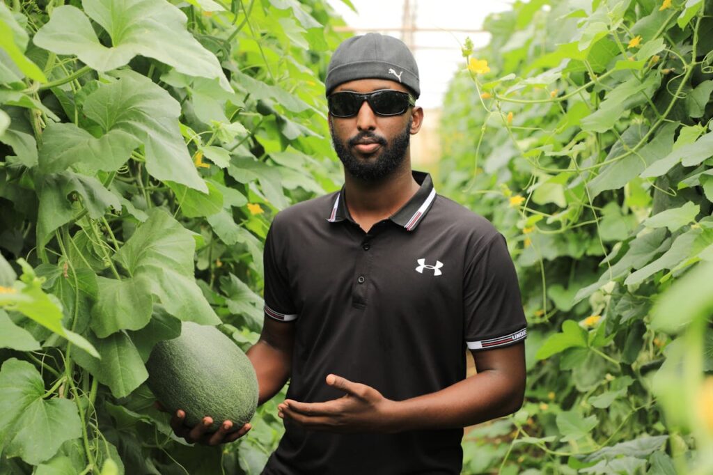 pexels-photo-29091325 African farmer in greenhouse holding a melon, showcasing modern agriculture in Mogadishu, Somalia.